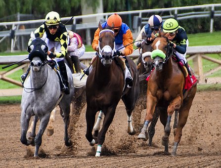 The Sports of Horse Racing: Is it Dying?